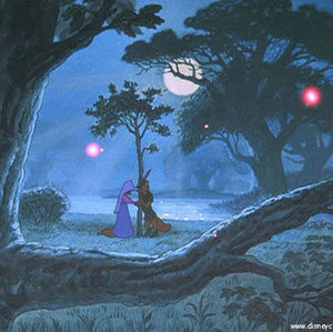 Meet your Posher, Cecelia